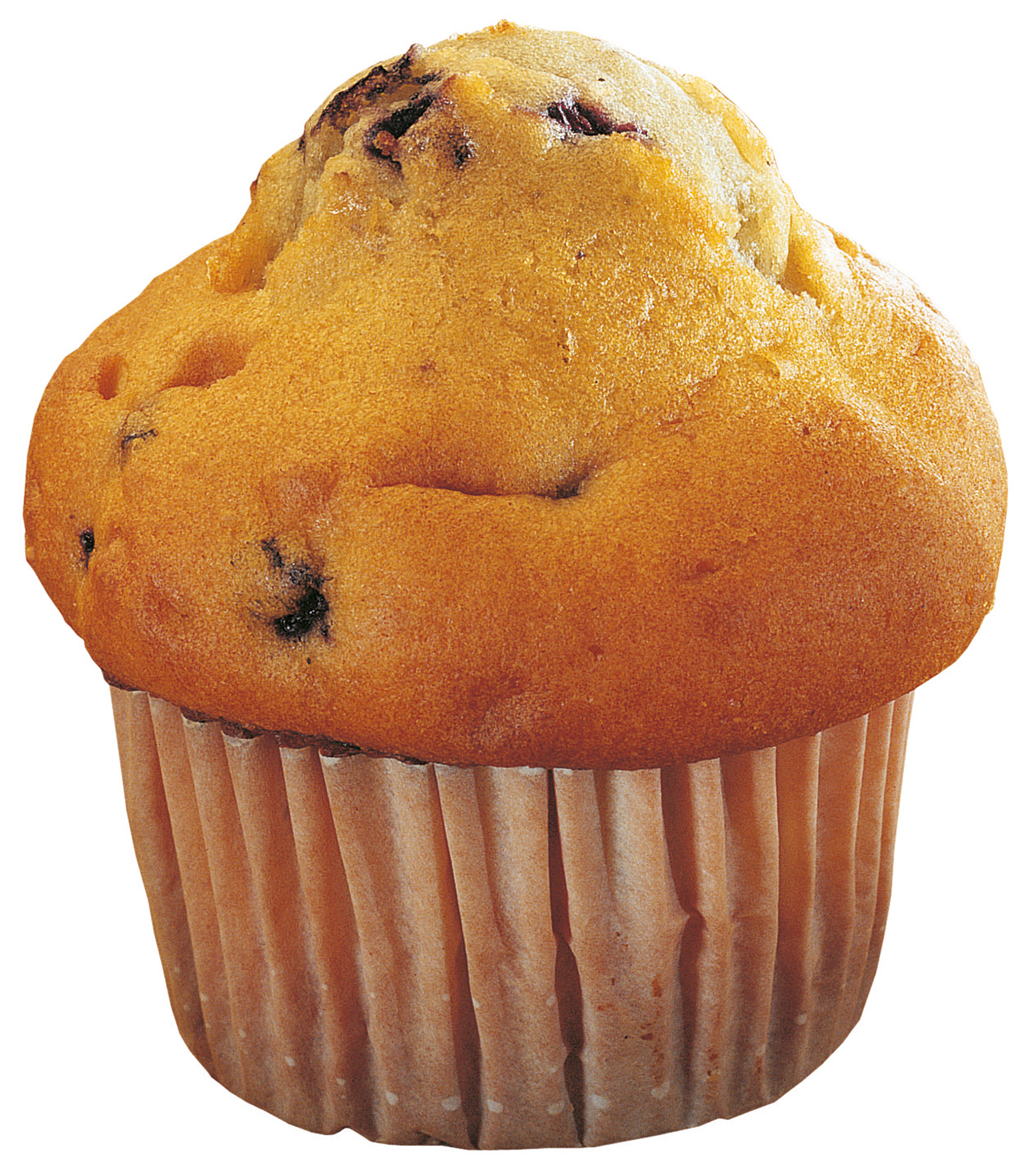 Blaubeer Muffin